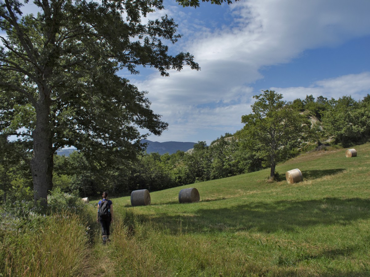 Trekking alla sorgente del fiume&nbsp;Marecchia